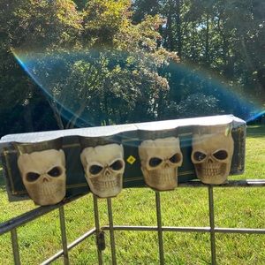 New spooky nights set of 4 skull shot glasses
